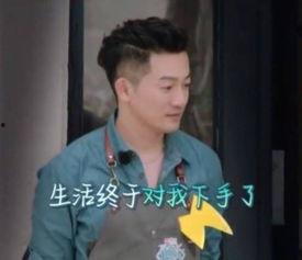 苏有朋秦峰爆料了吗视频,揭秘娱乐圈不为人知的一面  第1张