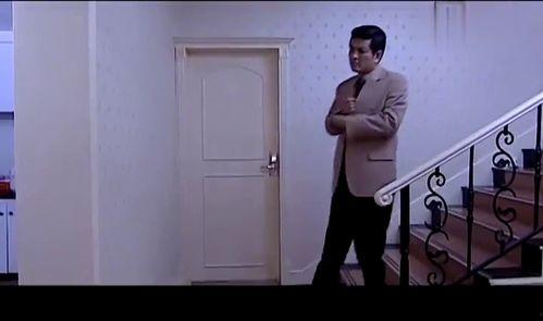 漂亮的保姆在线观看,美丽与智慧并存的传奇人生  第3张